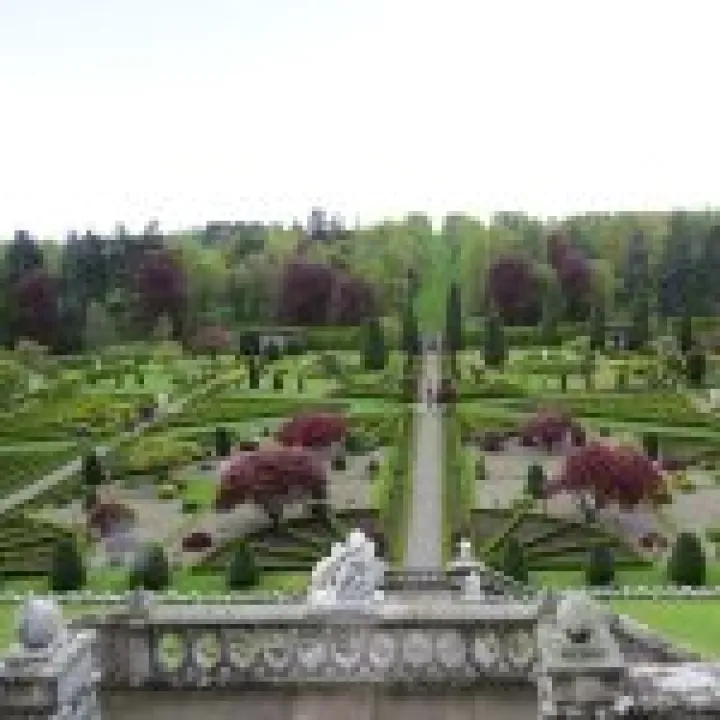 Drummond Gardens jpg1