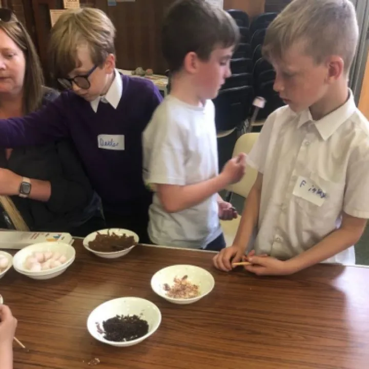 Image: 292490217 816398523066556 4255333622172293089 n