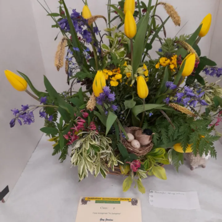 Image: 20230429 105216