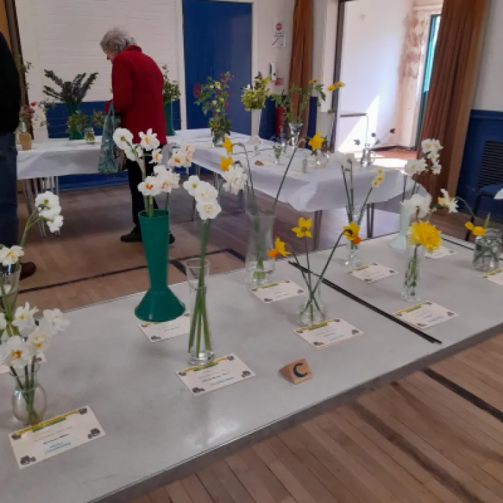 Image: 20230429 105415