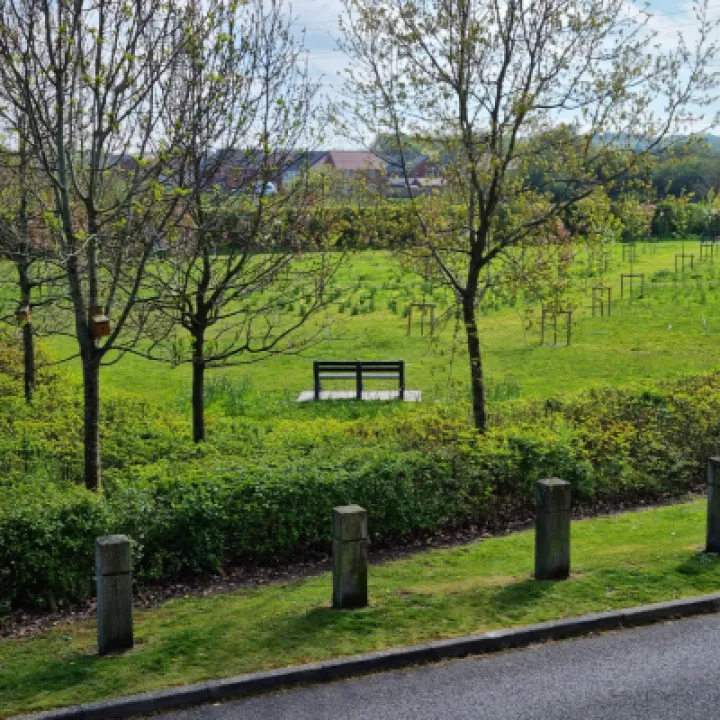 Jubilee Forest 3