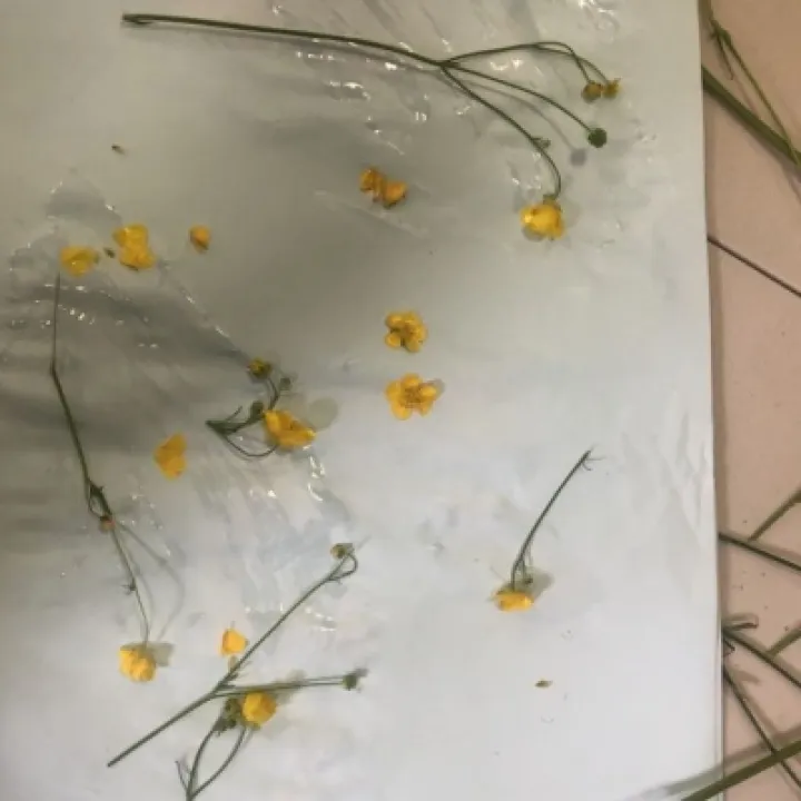 Messy Stars PHOTO 19