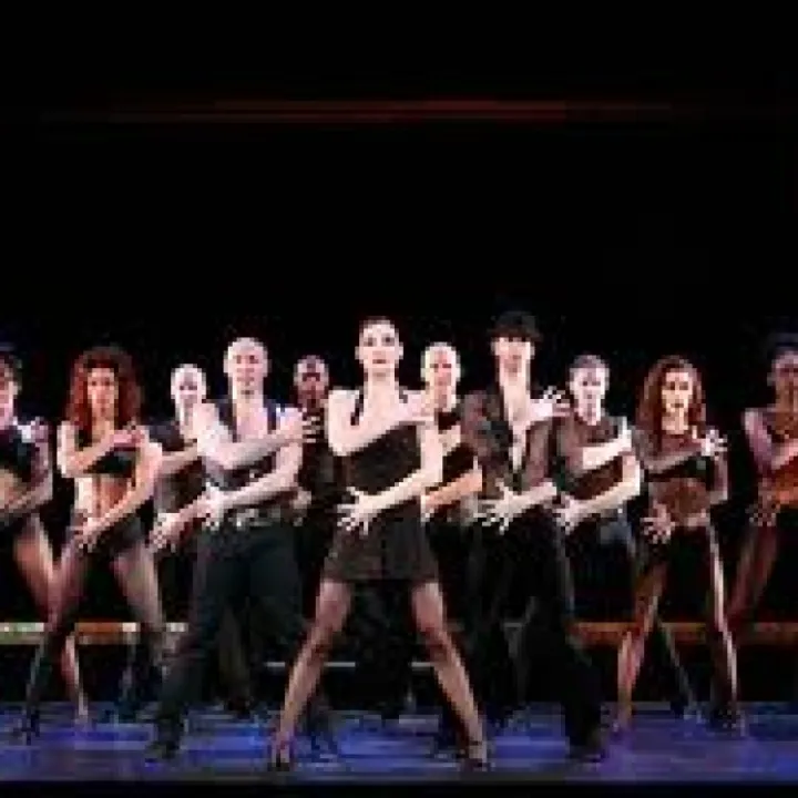 Cast of chicago