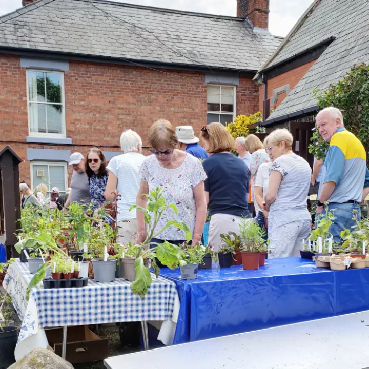 2024 Plant Sale 4