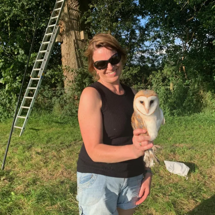 2024 Barn Owl Chicks