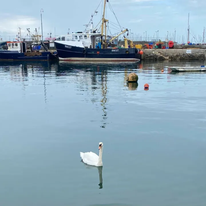 Junior 6-10yr_1_kian-Alone Tim