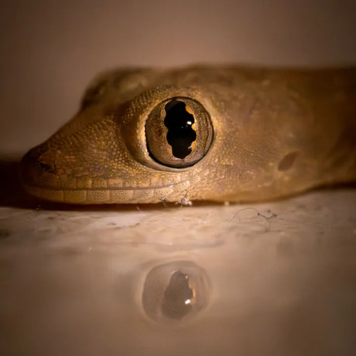 Senior 15-18yr_3_anton-Gab The