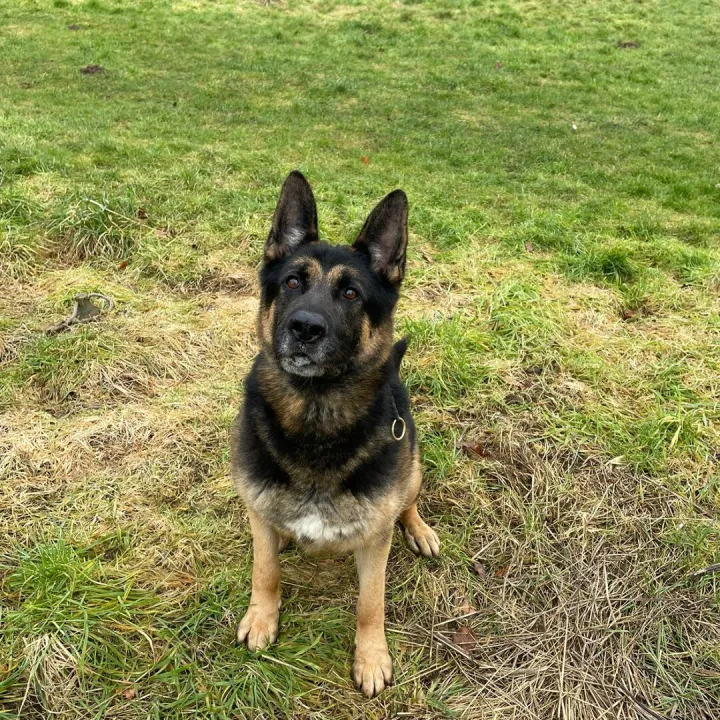 Whatsapp Image 2025-02-03 At 11