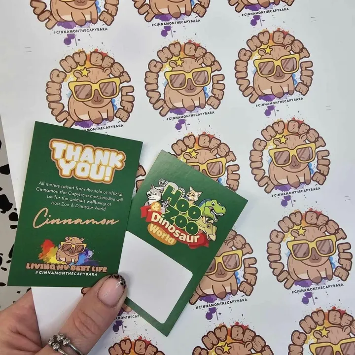 Hoozoo Clothing Tags (Business Cards) and Matt Sti