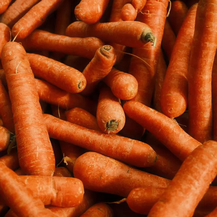 Vibrant close-up shot of fresh orange carrots
