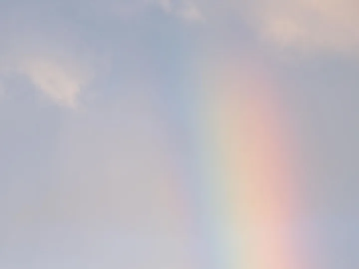 Dscf9018