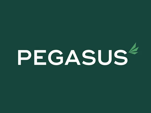 Pegasus Finance