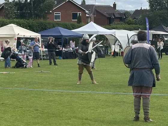 Vikings