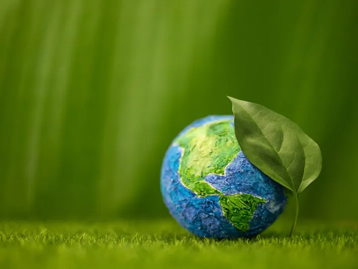 Eco Matters