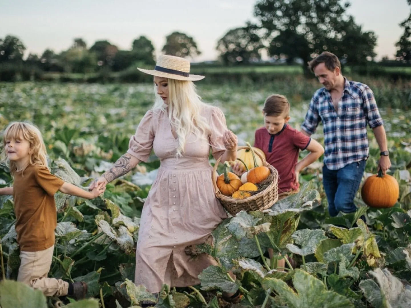 Family Pumpkin Picking Experience