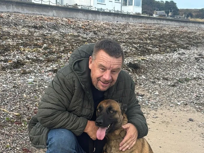 German Shepherd With Handler Outdoors