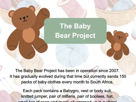 Baby Bear Project
