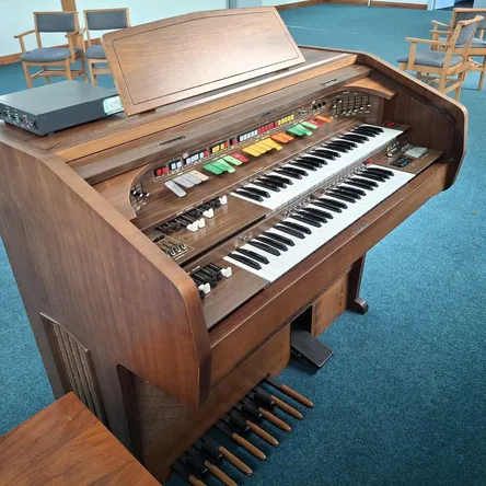Organ