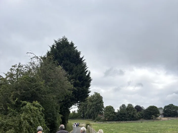 Image1