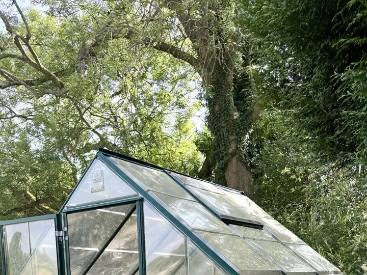 Items for sale
– Greenhouse carolhumphreys302@yahoo.co.uk