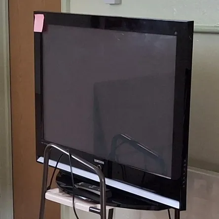 Television