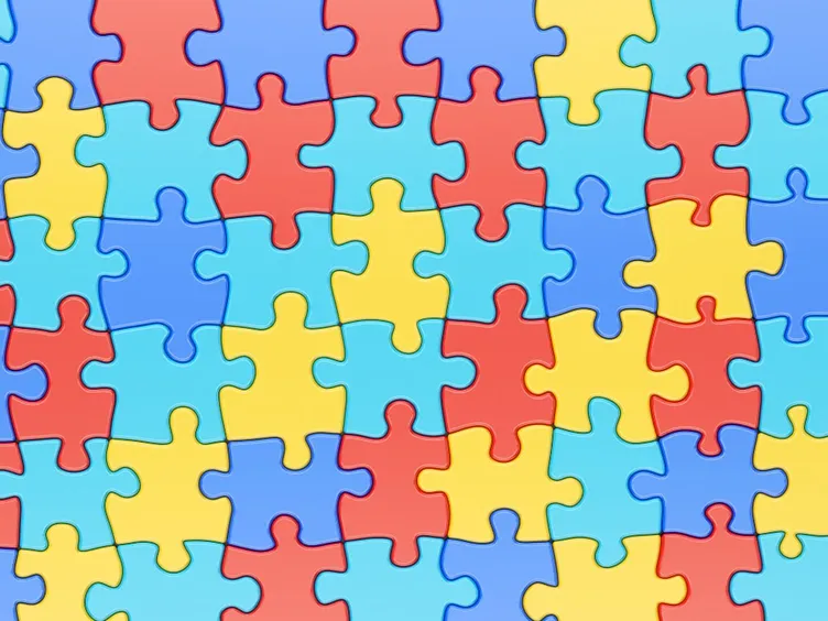 Pieces of a Jigsaw Fited Together