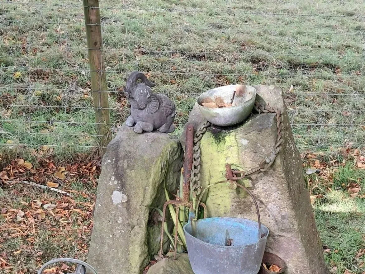 Old stone troughs with a chain and bucket and a little elephant ornament by a field fence