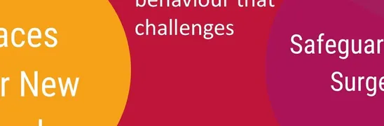 Npnp Powerpoint &ndash; Behaviour That Challenges