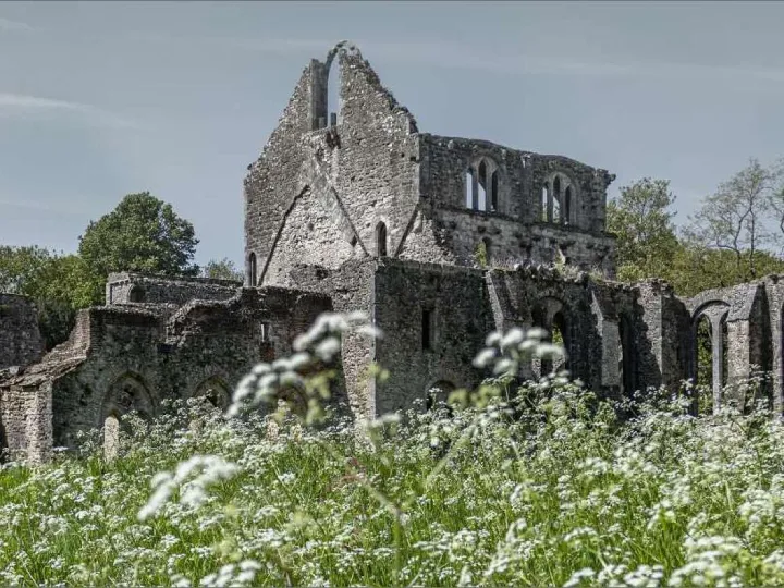 Haughmond Abbey