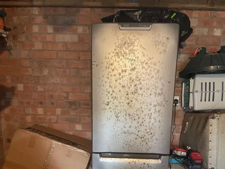 Items for sale
– Large fridge freezer Make me an offer