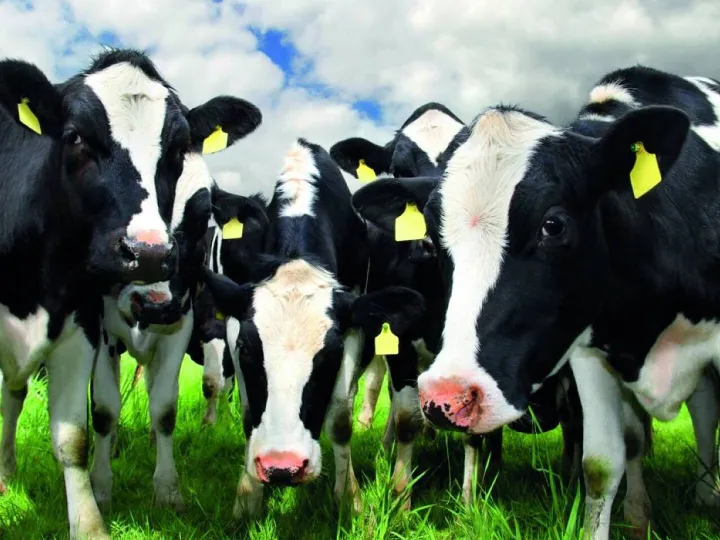 Sponsors Feature – Mole Valley Farmers