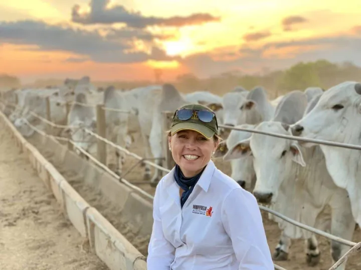 Optimising beef selection in Northern Australia