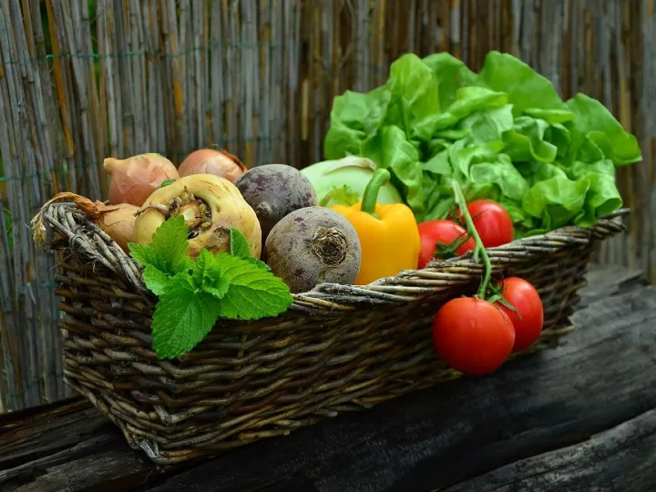 Vegetables, basket, vegetable basket, harvest
