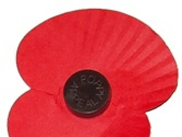 Poppy 50