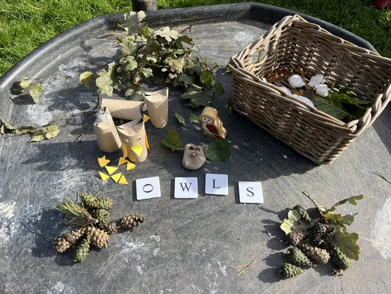 Cardboard owls, pine cones and letter tiles spelling owls on a tuff tray