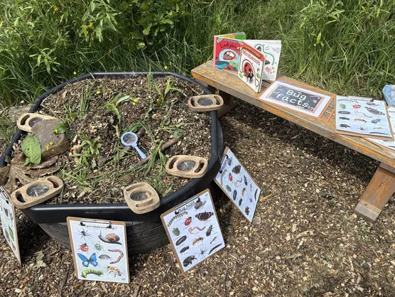 A planted tray with magnifying glasses, bug pots and identification charts