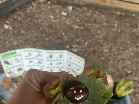 A hand holding a leaf and a conker made into a smiling face