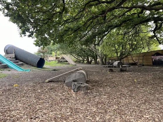 The slide, tunnel and log seating under a spreading oak tree