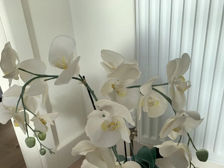 Items for sale &ndash; Artificial orchid &pound;4