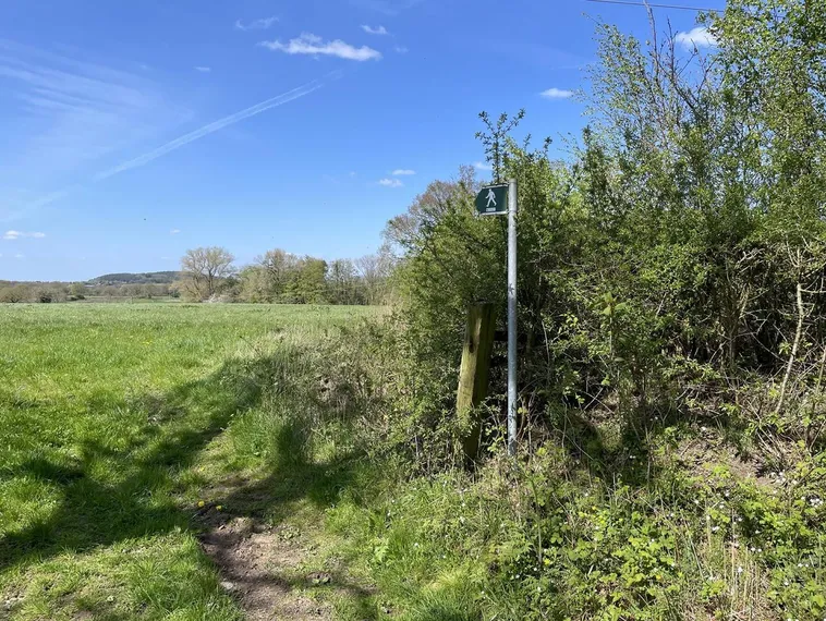 Green footpath waymarker on a metal post beside a hedgerow, with open grass fields and trees under a blue sky