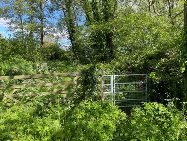 Five-bar wooden gate beside a metal kissing gate in a leafy hedgerow, with cow parsley and woodland behind
