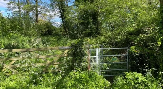 Five-bar wooden gate beside a metal kissing gate in a leafy hedgerow, with cow parsley and woodland behind