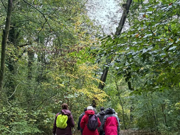 Second Walk 1