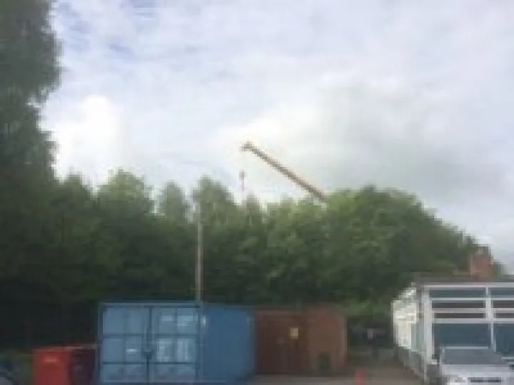 Crane