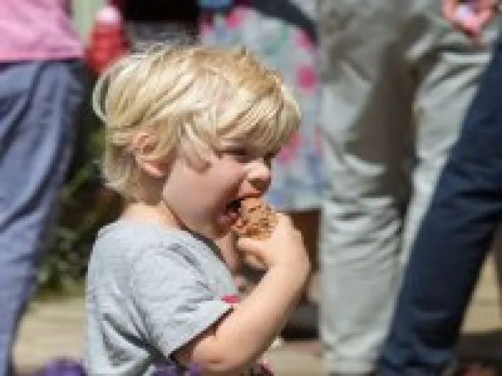 HVS Garden Party 24
