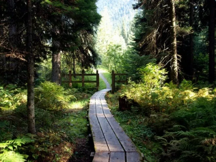 Garden trail