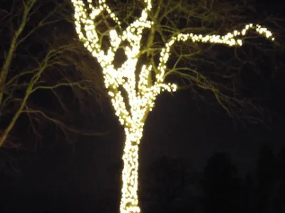 20151221_183912_Burst02