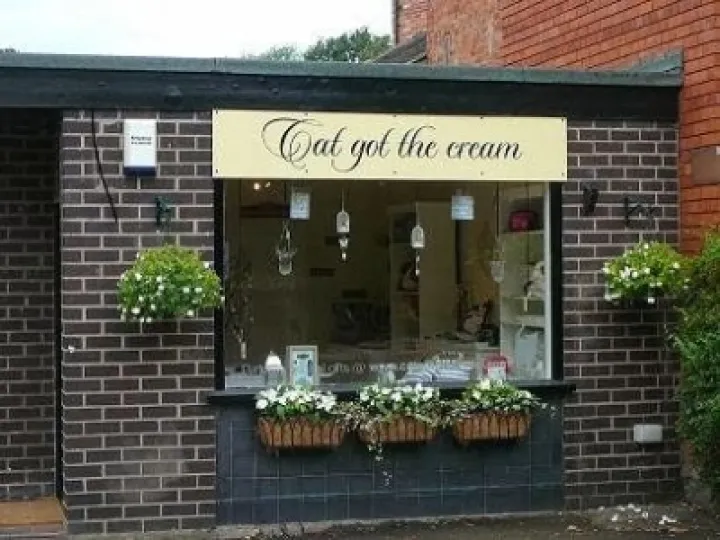 catgotthecream