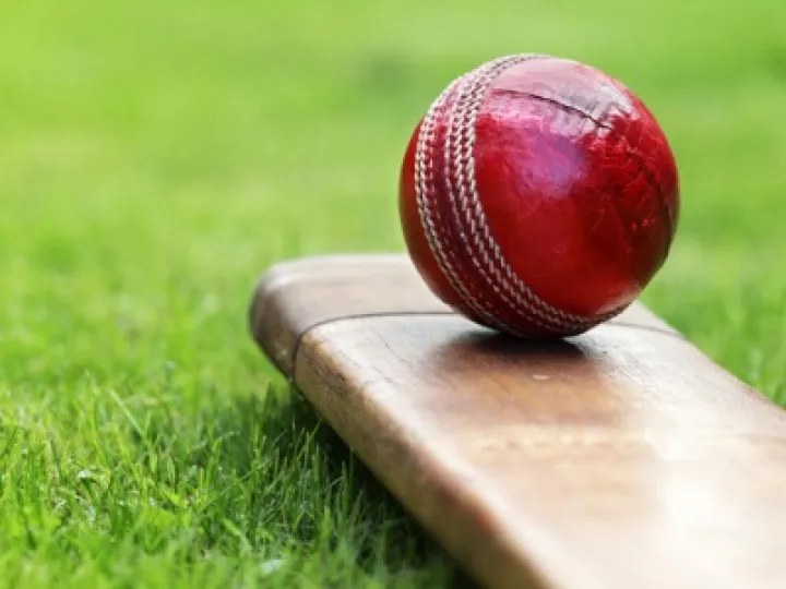 Cricket Image 01