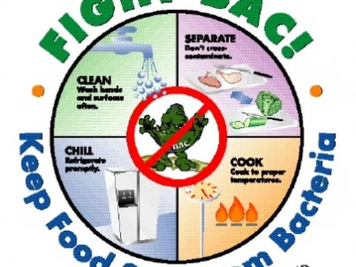 food-safety-graphics-640641
